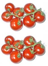 Tomaten-2x7.jpg